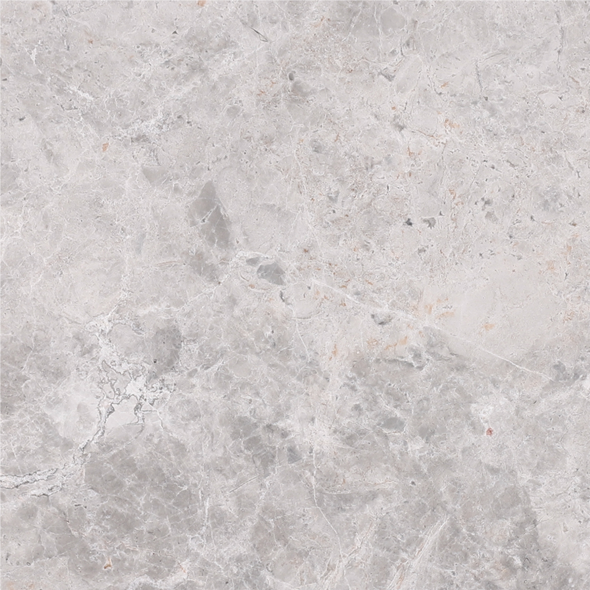 Tundra Grey Polished 30 x 30 x 1 cm Field Tile 