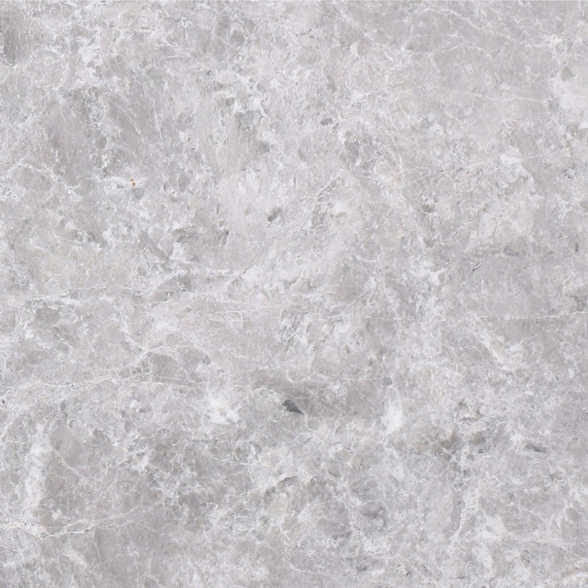 Tundra Blue Honed 30 x 30 x 1 cm Field Tile 