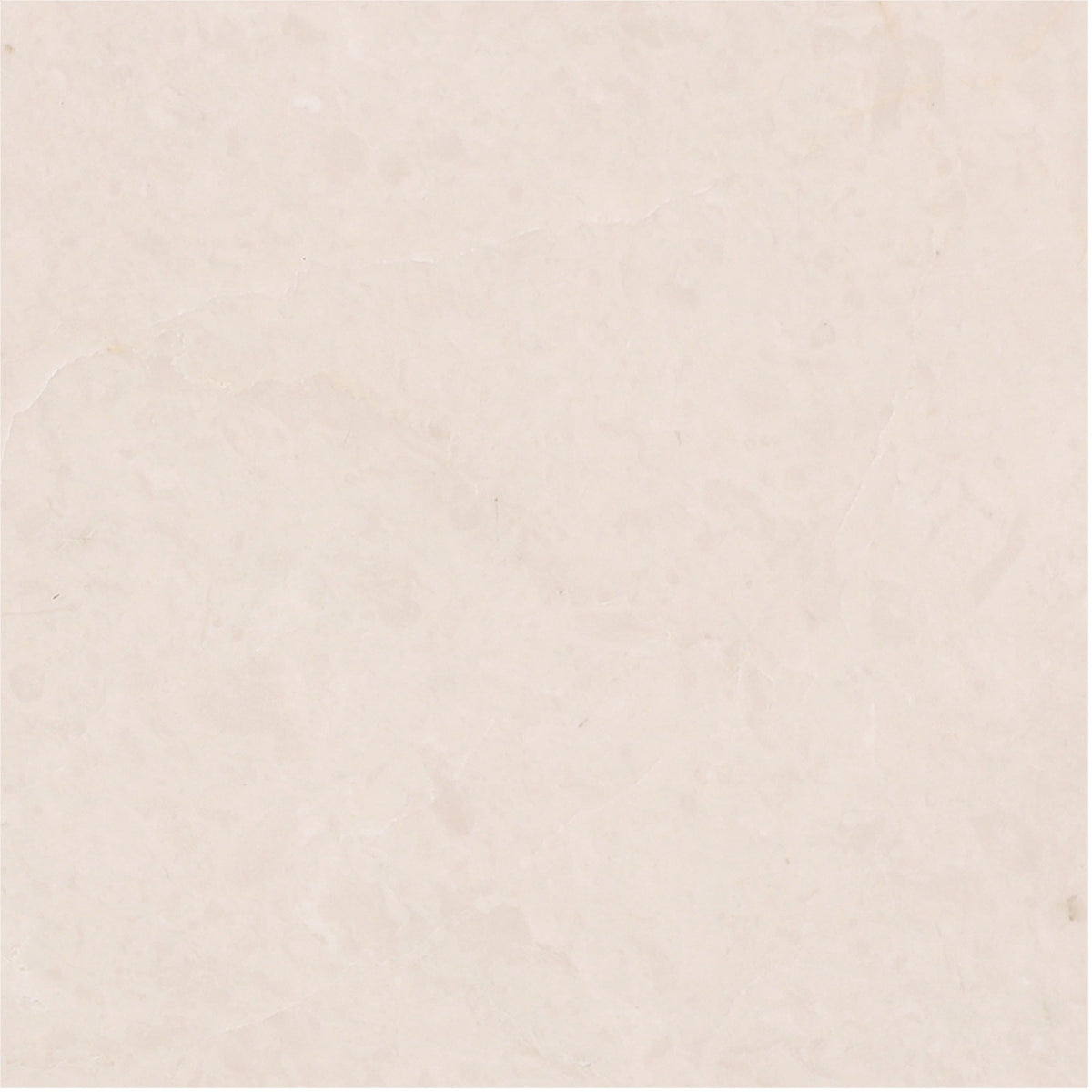 Crema Ella Honed 15 x 15 x 1 cm Field Tile 