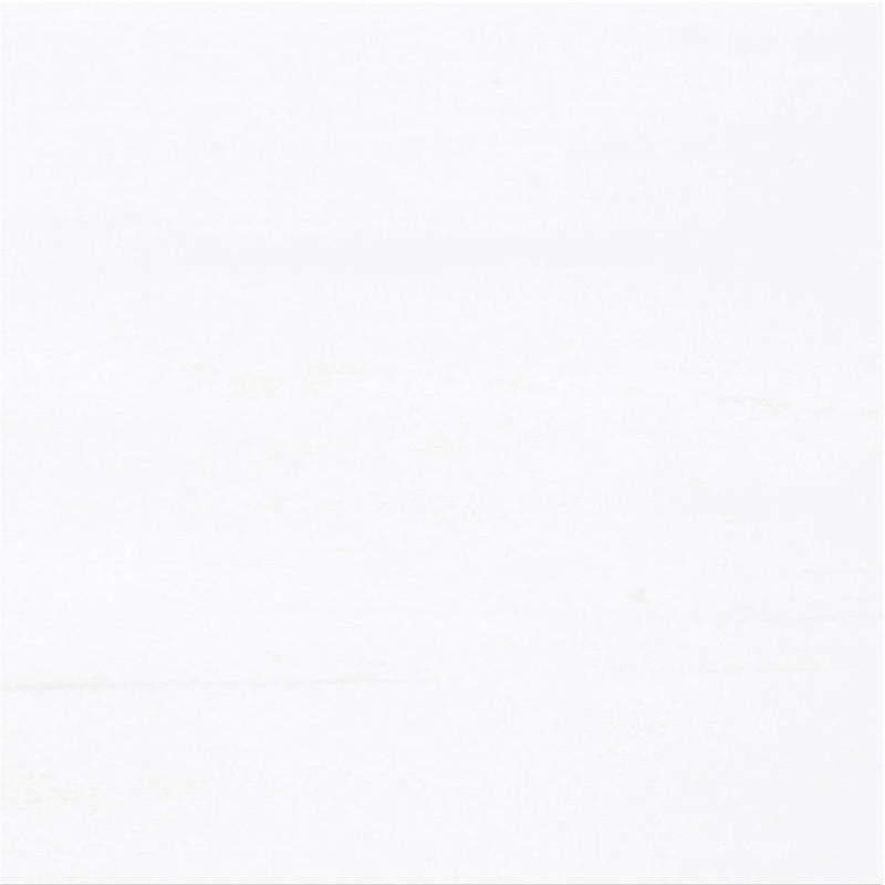 Glacier White Extra Honed 30 x 30 x 1 cm Field Tile