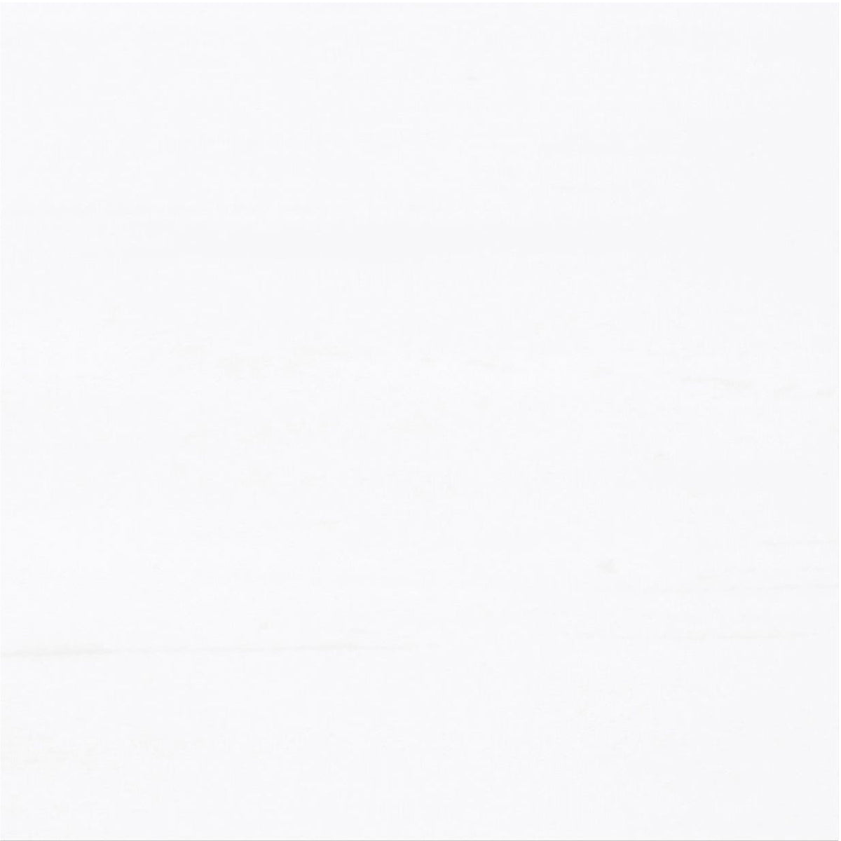 Glacier White Extra Honed 30 x 30 x 1 cm Field Tile 
