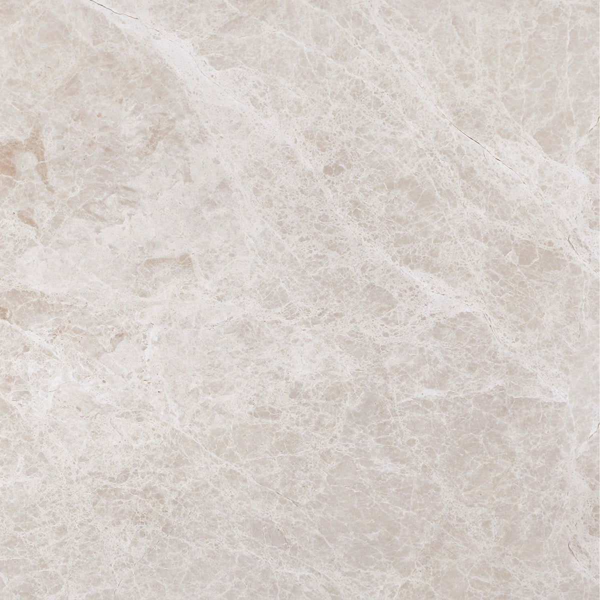Vanillish Pearl Honed 45 x 45 x 1.5 cm Field Tile 