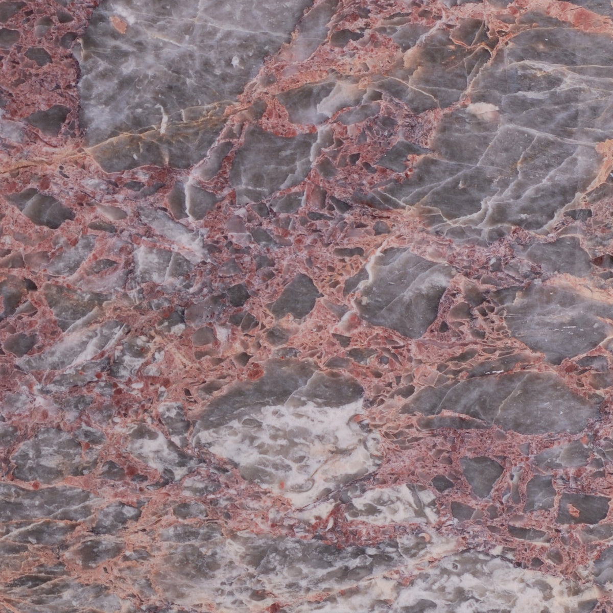 Salome Polished 30 x 30 x 1 cm Field Tile 