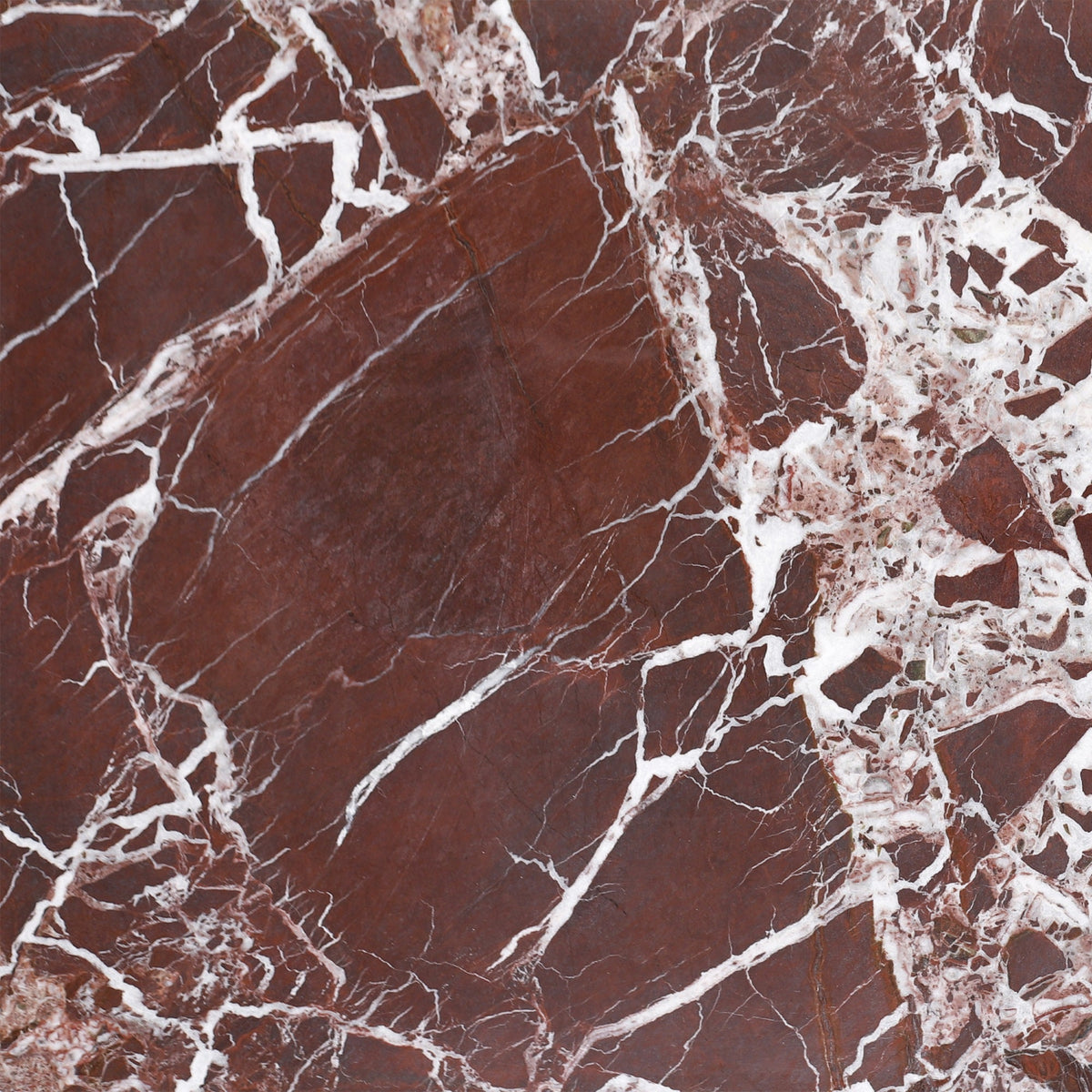 Rosso Levanto Polished 30 x 30 x 1 cm Field Tile 