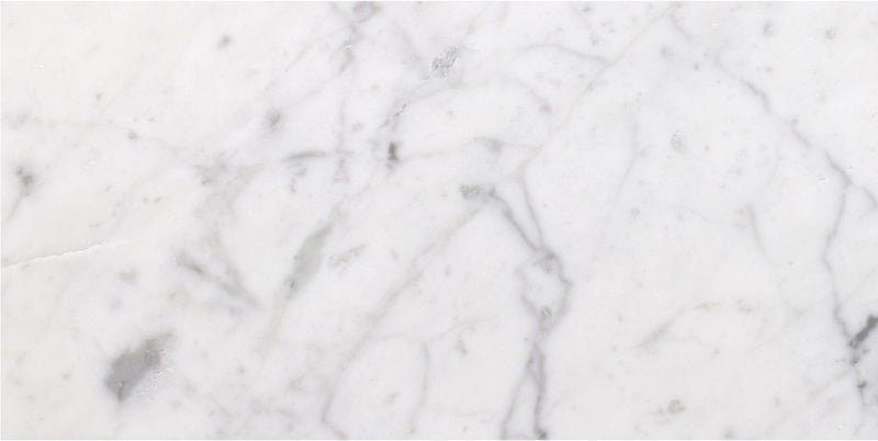 Bianco Carrara Honed 15 x 30 x 1 cm Field Tile