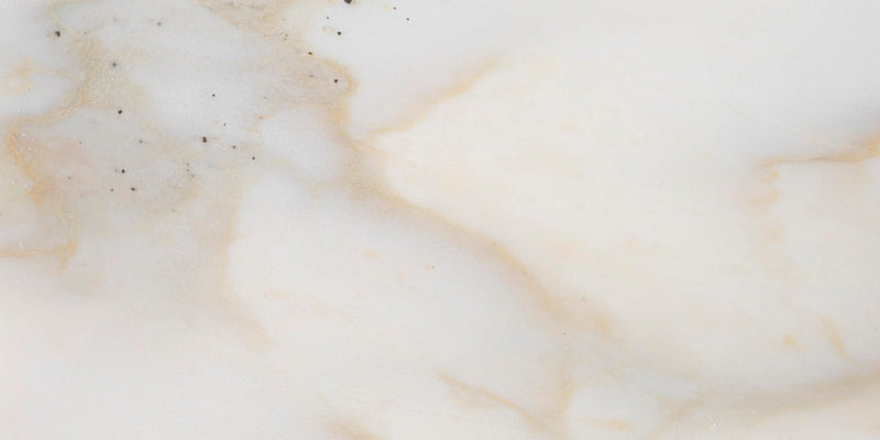 Calacatta Cremo Honed 15 x 30 x 1 cm Field Tile