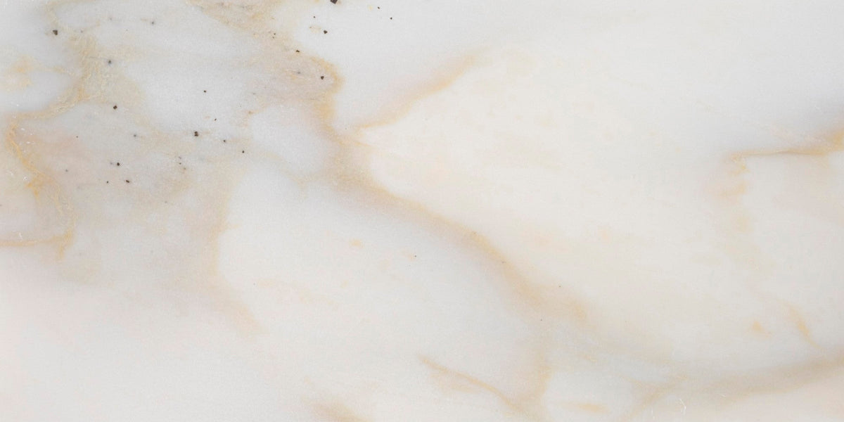 Calacatta Cremo Honed 15 x 30 x 1 cm Field Tile 