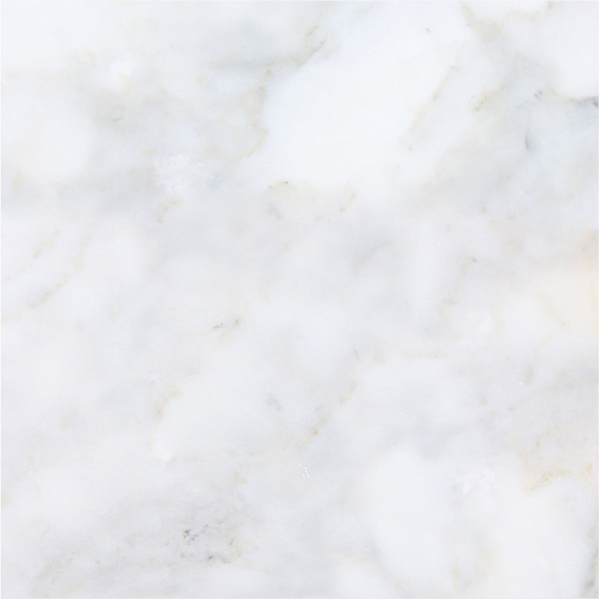 Calacatta Vida Honed 45 x 45 x 1 cm Field Tile 