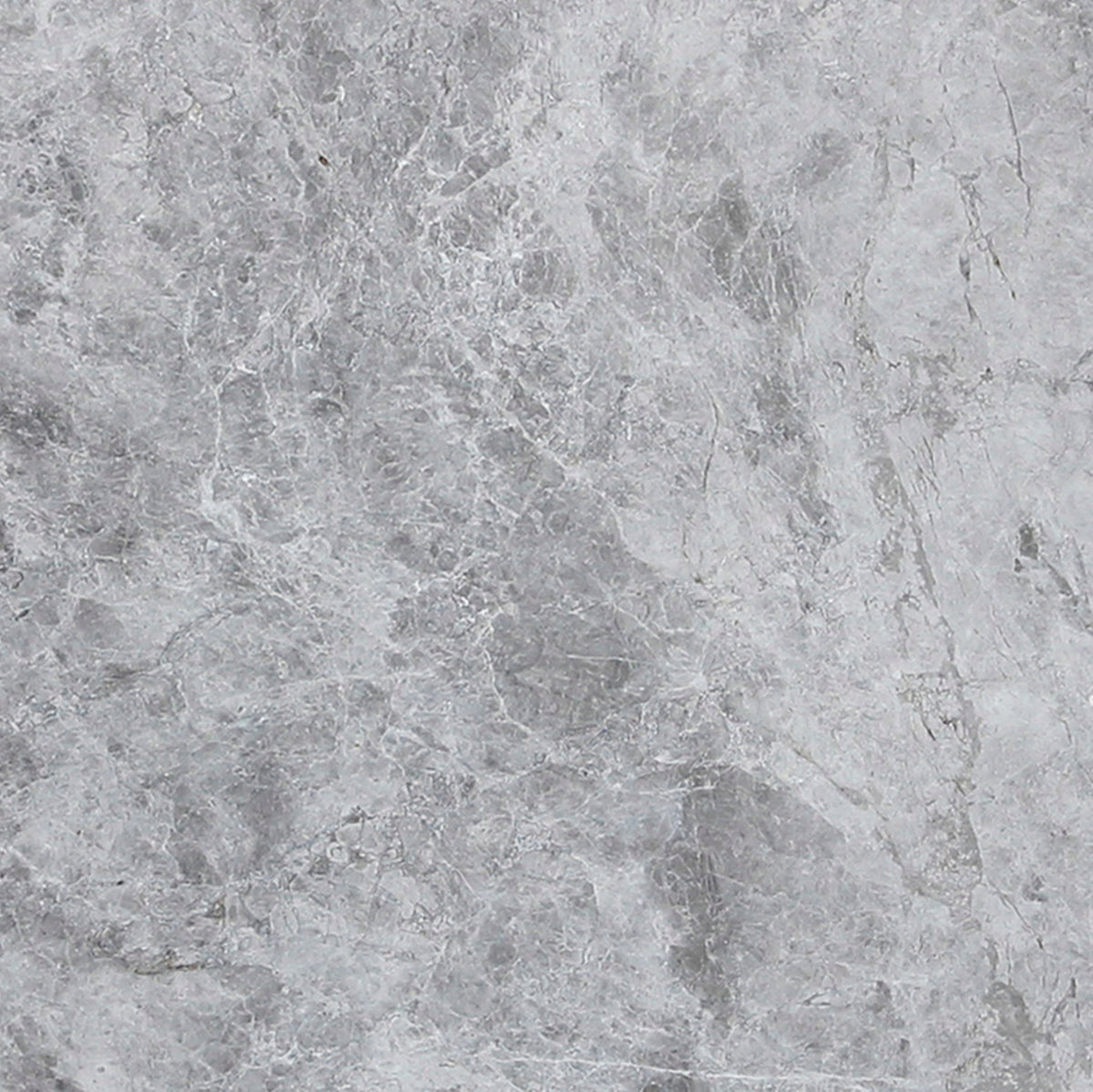 Ocean Grey Honed 60 x 60 x 1.25 cm Field Tile 