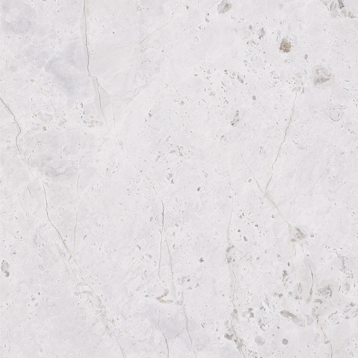 Tundra Grey Honed 15 x 15 x 1 cm Field Tile 