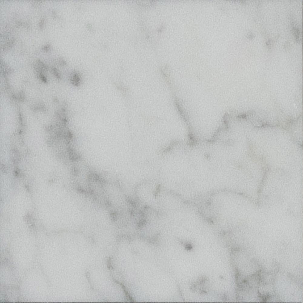 Bianco Carrara Honed 10 x 10 x 1 cm Field Tile 