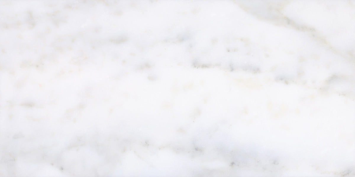 Calacatta Vida Honed 30 x 60 x 1 cm Field Tile 
