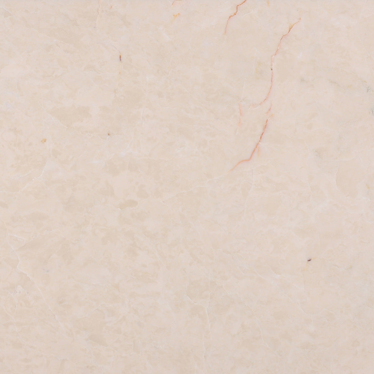 Crema Ella Polished 30 x 30 x 1 cm Field Tile 