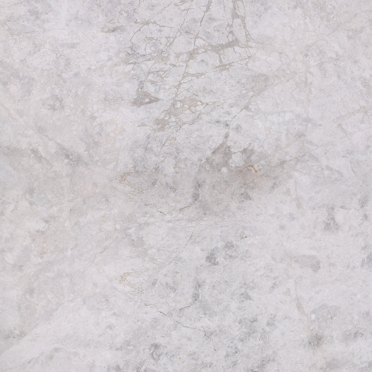 Tundra Grey Honed 60 x 60 x 1.5 cm Field Tile 