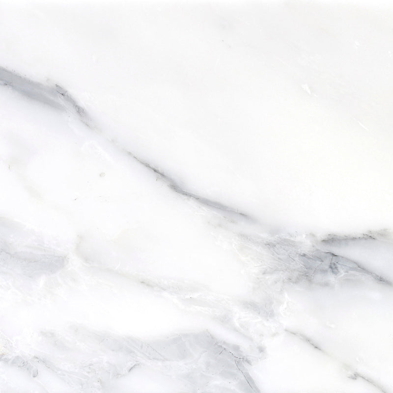 Statuario Honed 30 x 30 x 1 cm Field Tile