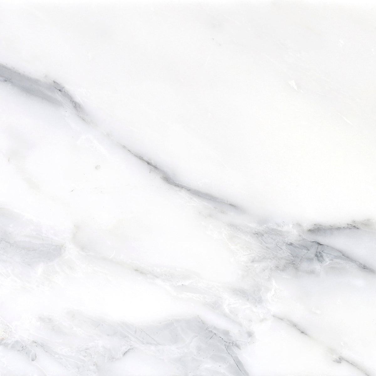 Statuario Honed 30 x 30 x 1 cm Field Tile 