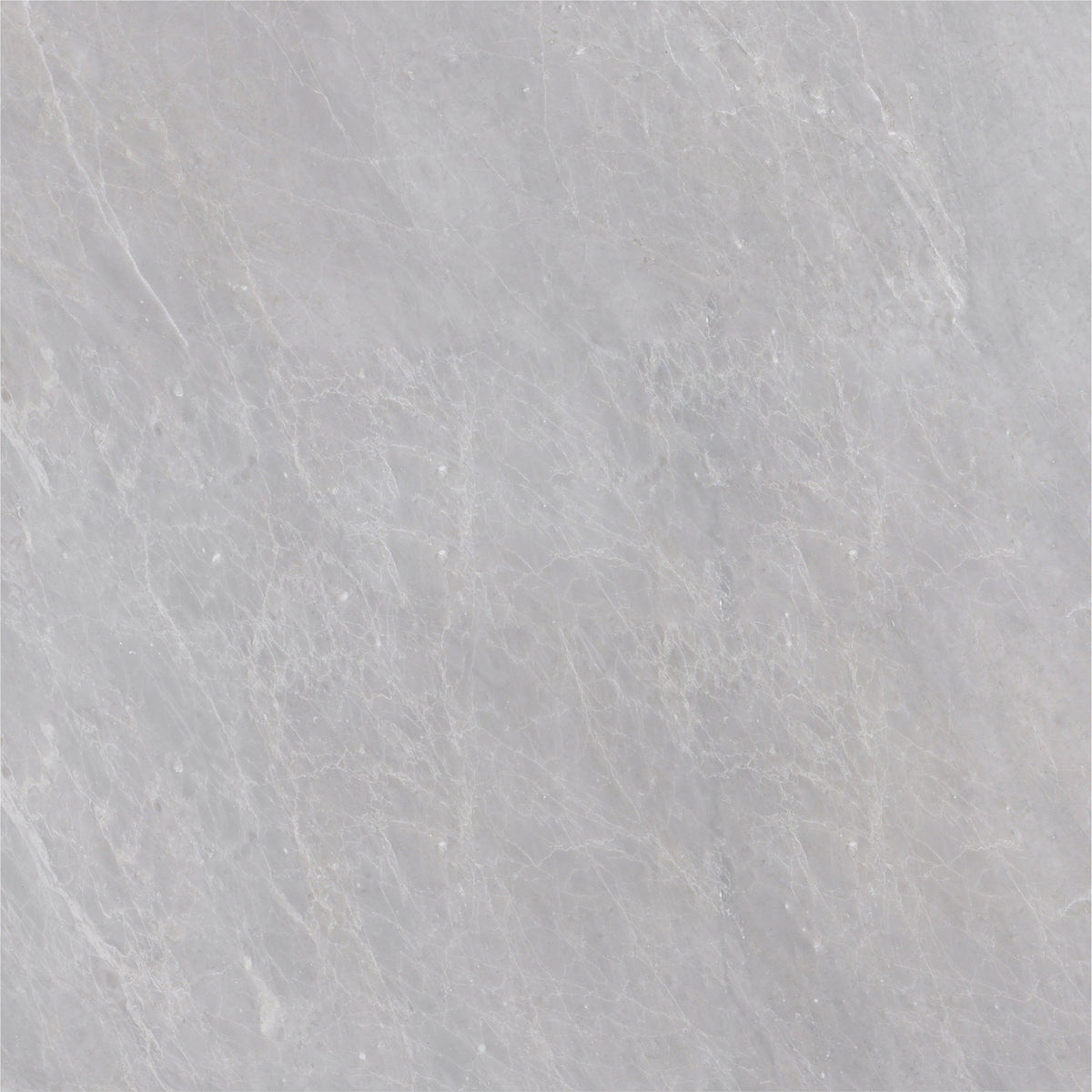 Earth Grey Honed 45 x 45 x 1.25 cm Field Tile 