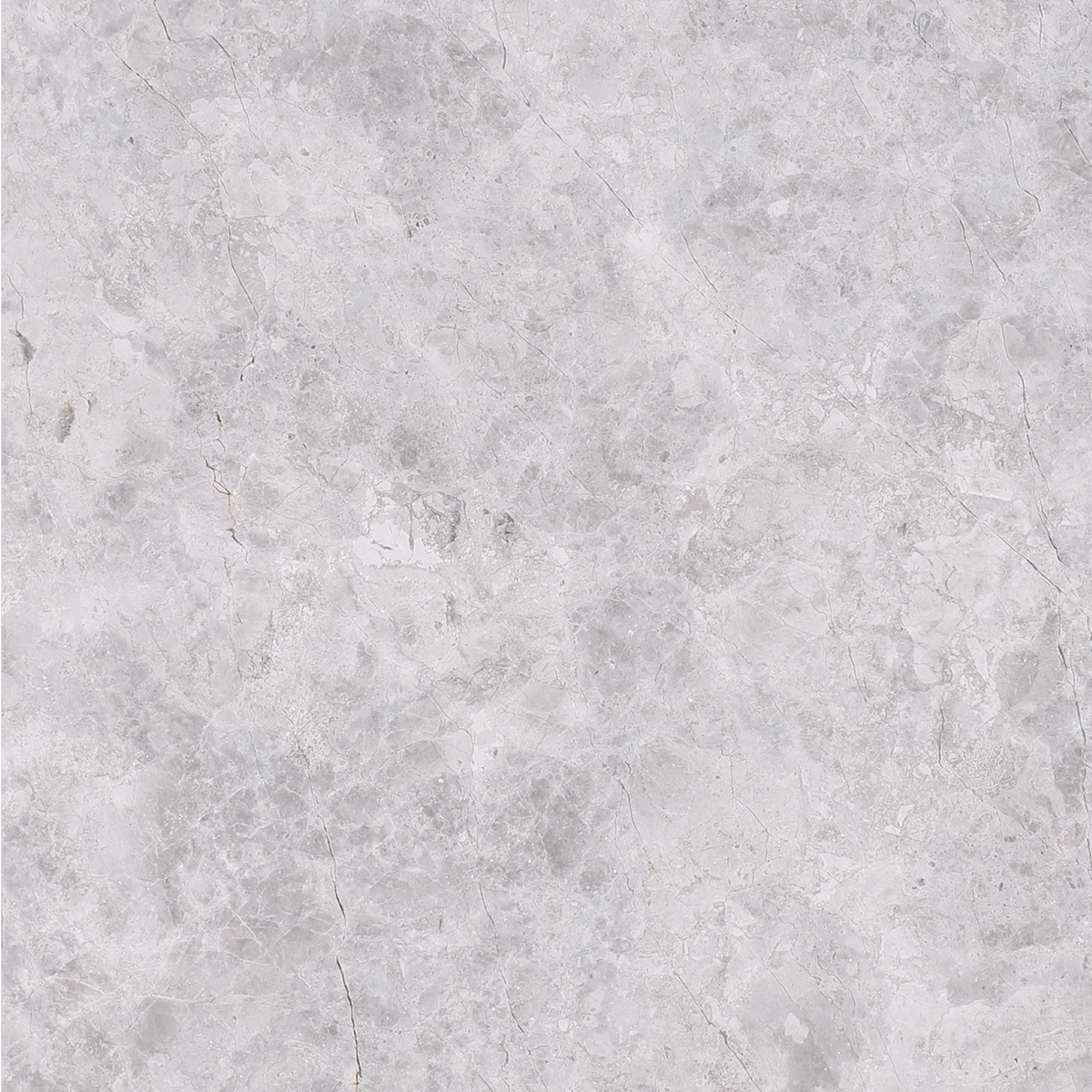 Tundra Grey Honed 40 x 40 x 1.5 cm Field Tile 
