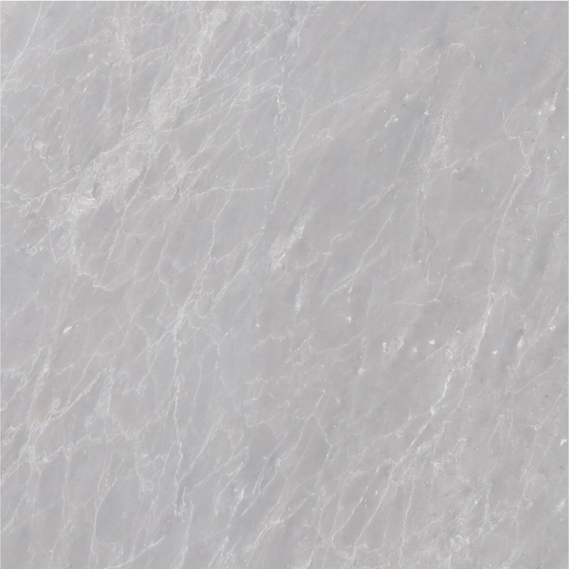 Earth Grey Polished 30 x 30 x 1 cm Field Tile