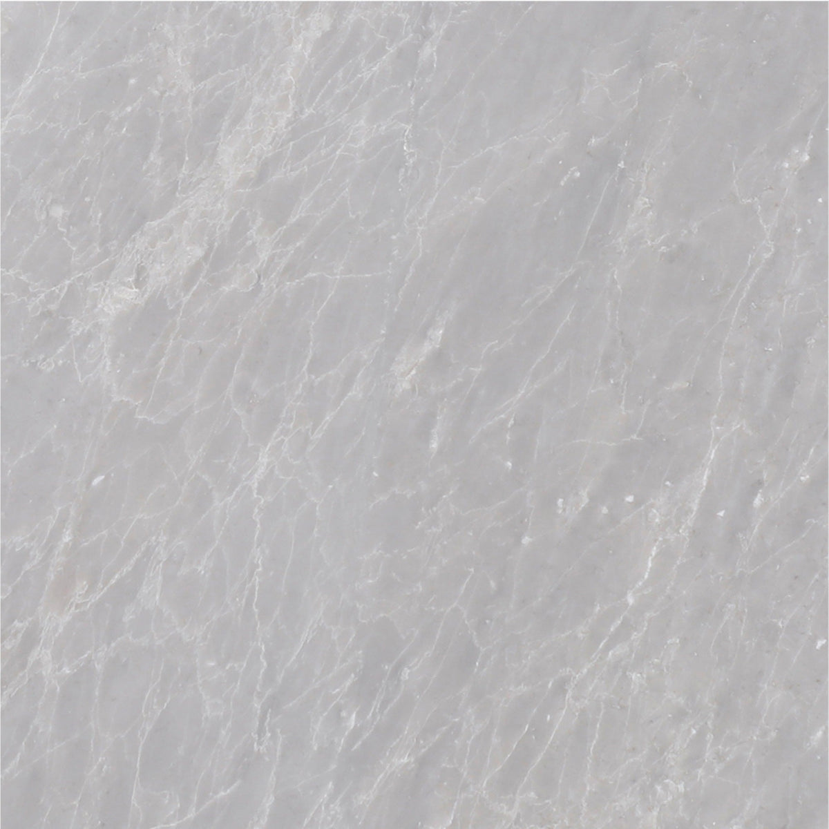 Earth Grey Polished 30 x 30 x 1 cm Field Tile 