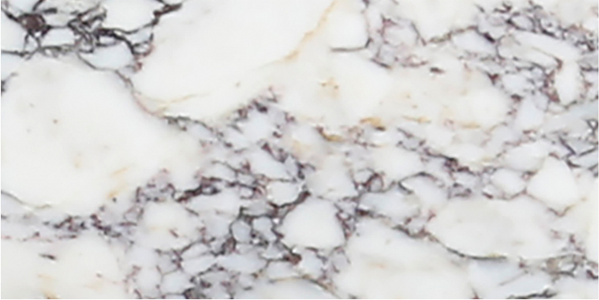 Calacatta Viola Honed 15 x 30 x 1 cm Field Tile 