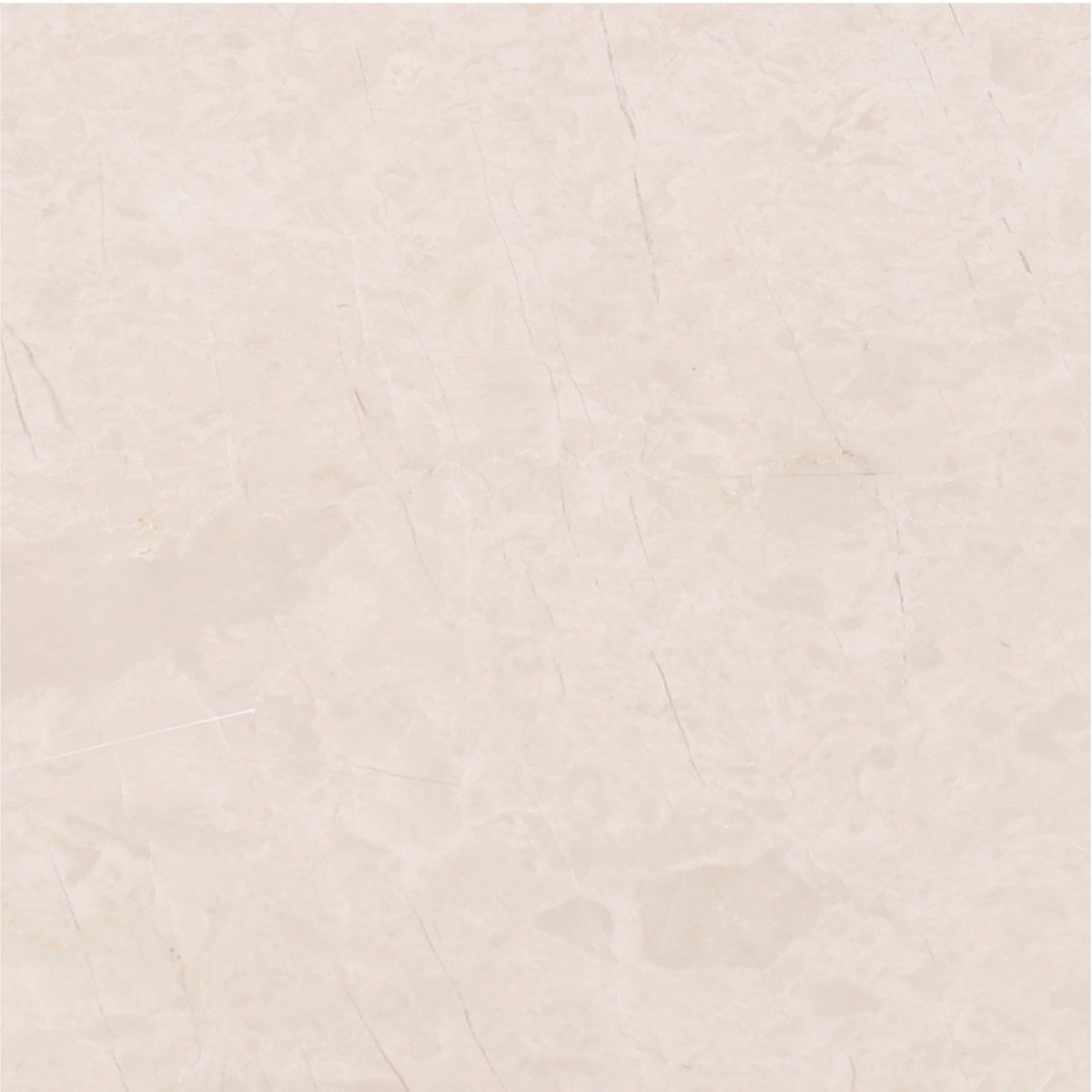 Crema Ella Honed 15 x 15 x 1 cm Field Tile 
