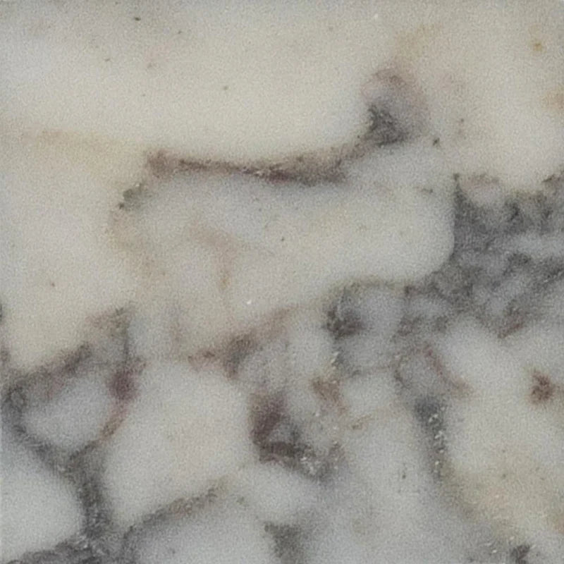 Calacatta Viola Honed 10 x 10 x 1 cm Field Tile 