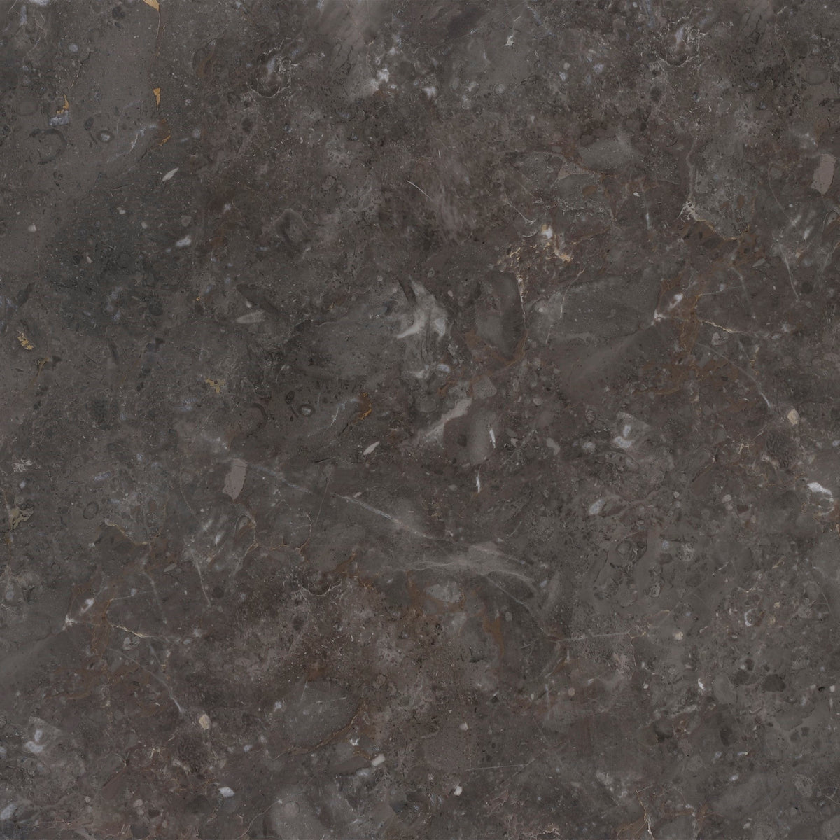 Caribbean Grey Honed 30 x 30 x 1 cm Field Tile 