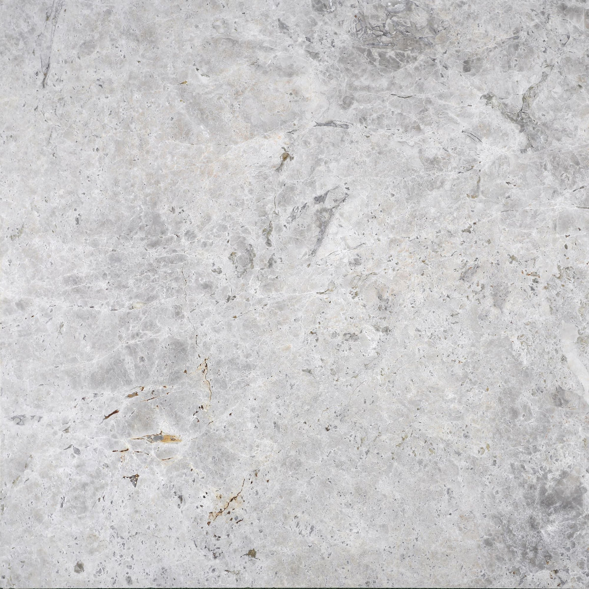 Tundra Blue Polished 60 x 60 x 1.5 cm Field Tile 