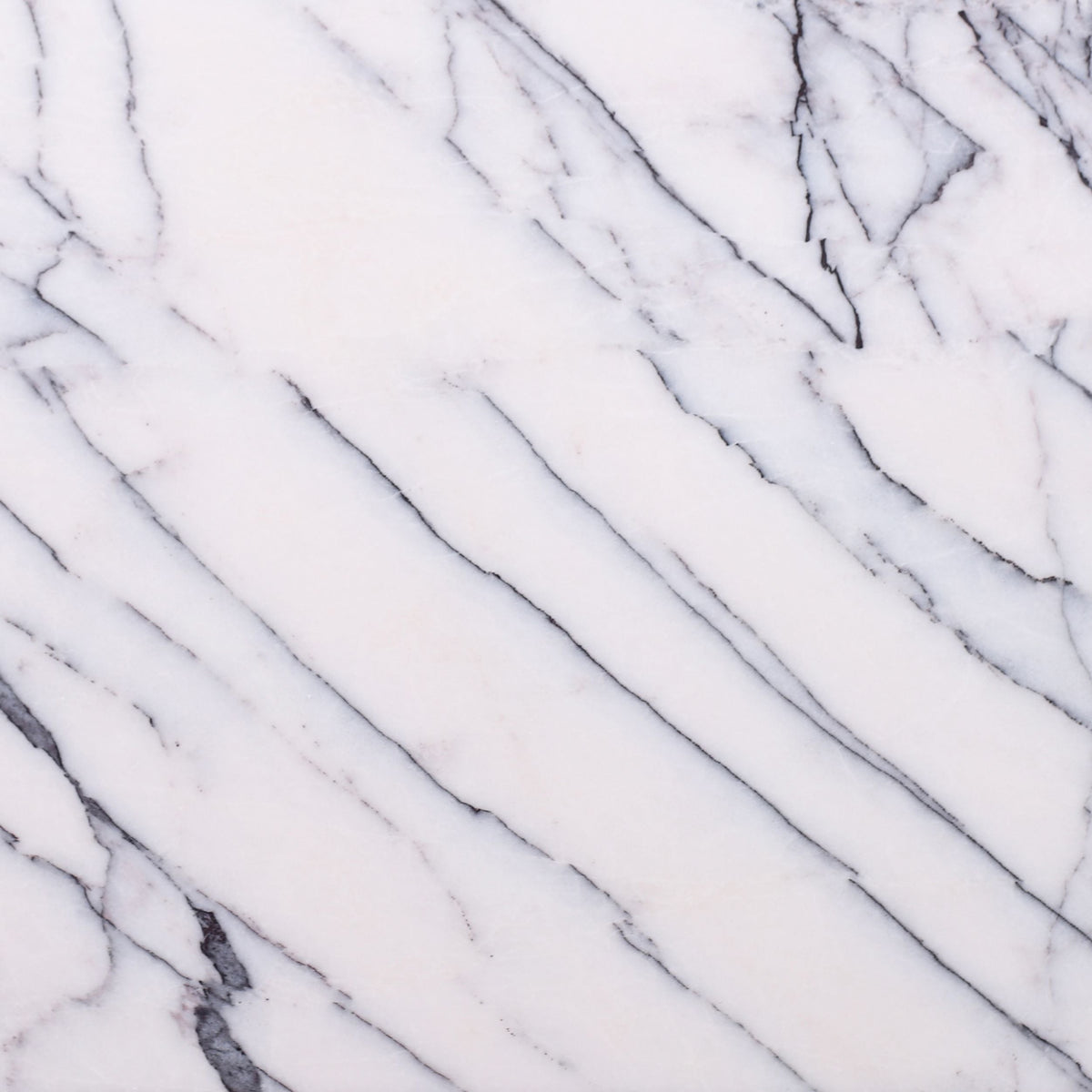 Violeta Polished 30 x 30 x 1 cm Field Tile 