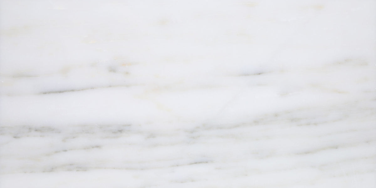 Calacatta Vida Polished 30 x 60 x 1 cm Field Tile 