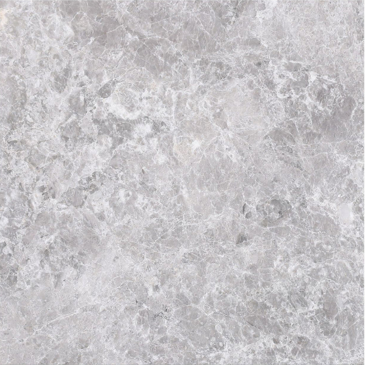 Tundra Blue Polished 30 x 30 x 1 cm Field Tile 