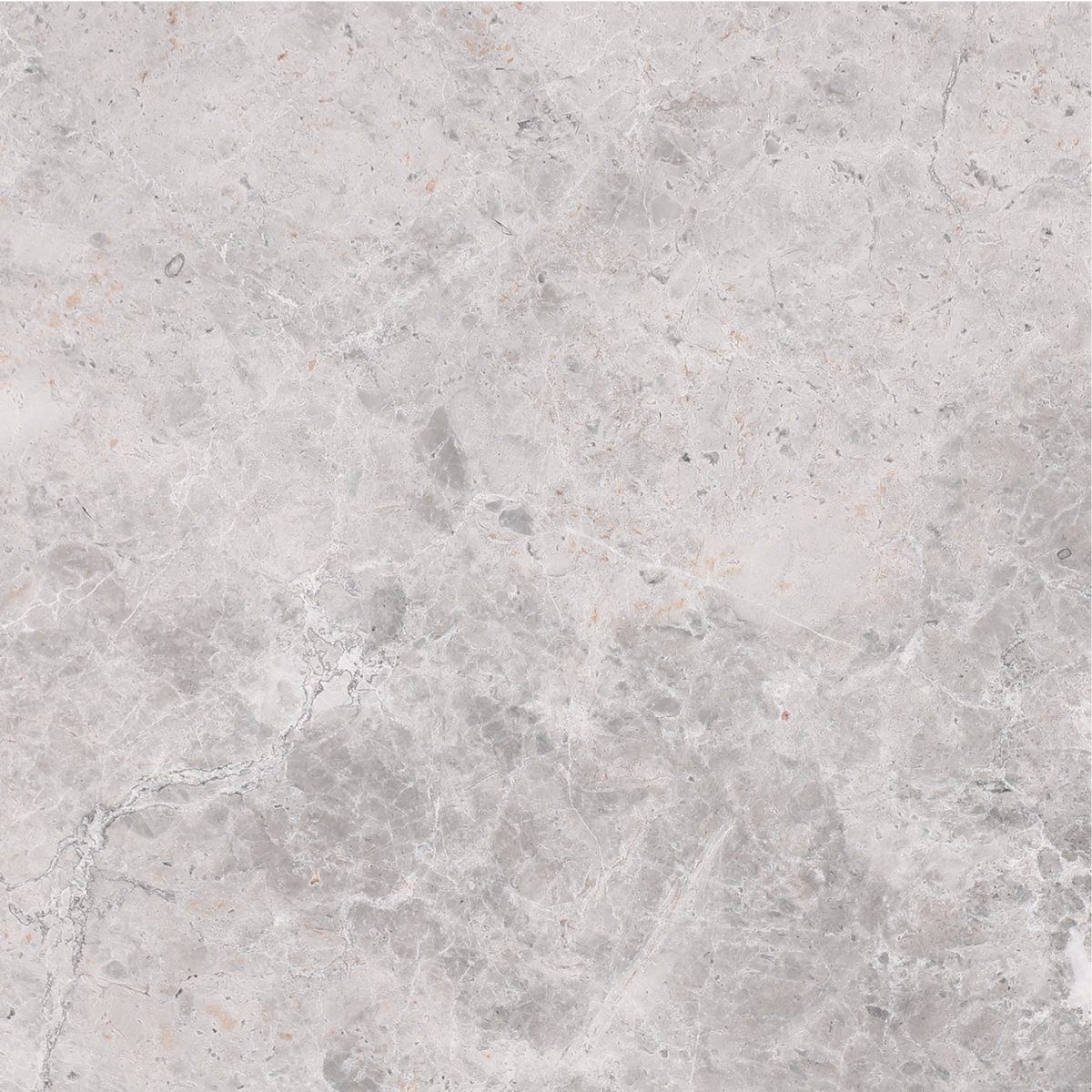 Tundra Grey Honed 45 x 45 x 1.25 cm Field Tile 