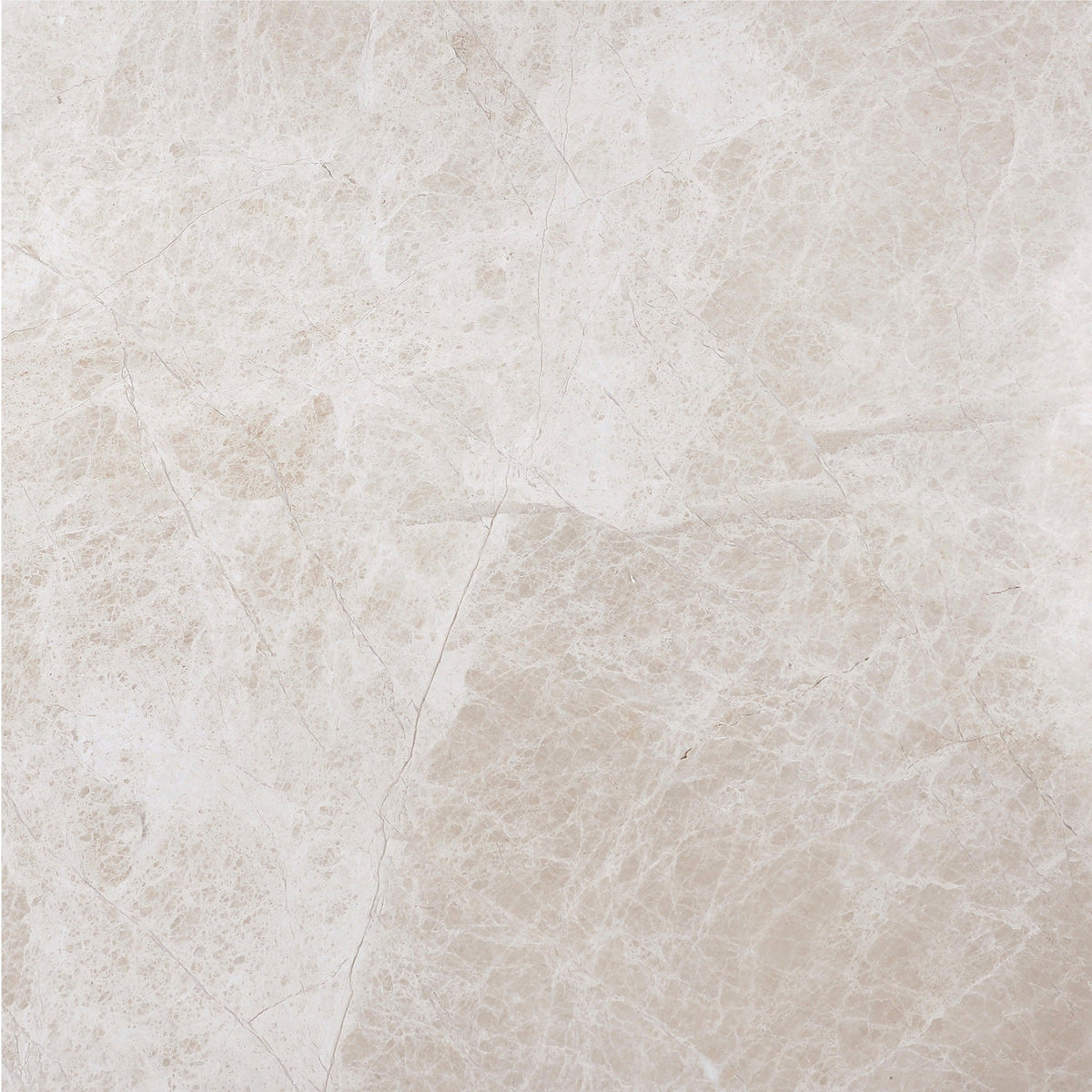 Vanillish Pearl Honed 45 x 45 x 1.5 cm Field Tile 
