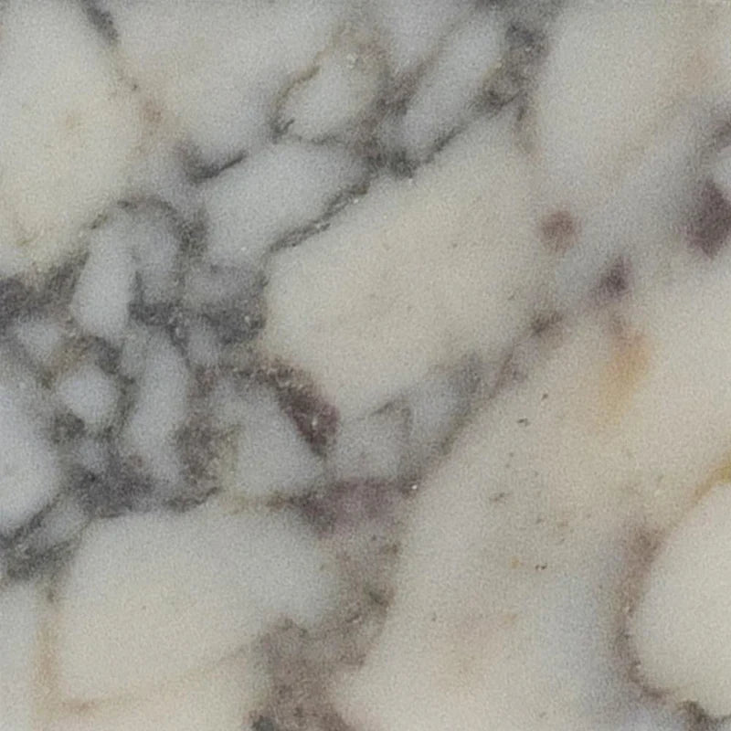 Calacatta Viola Honed 10 x 10 x 1 cm Field Tile