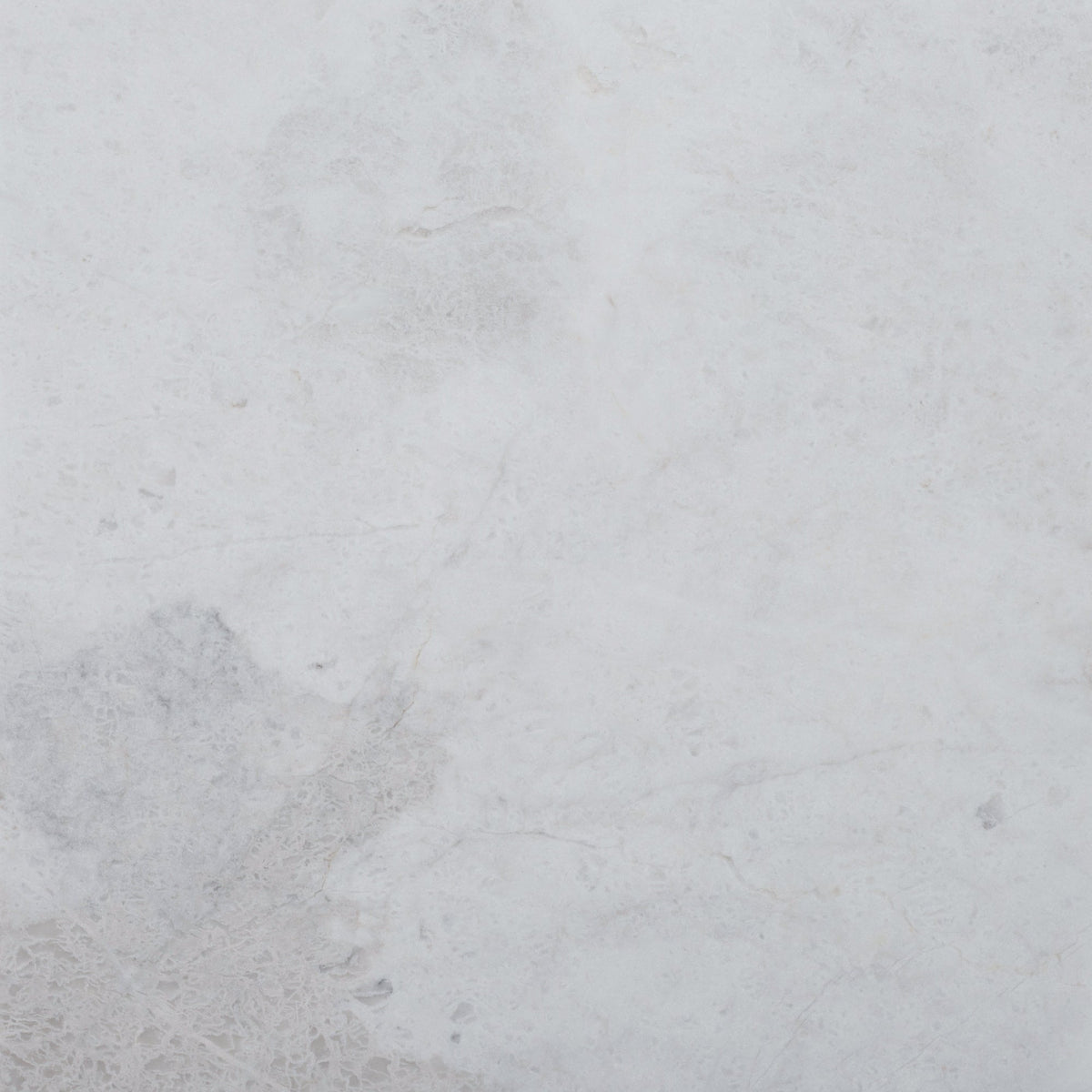 Elegantia Honed 30 x 30 x 1 cm Field Tile 