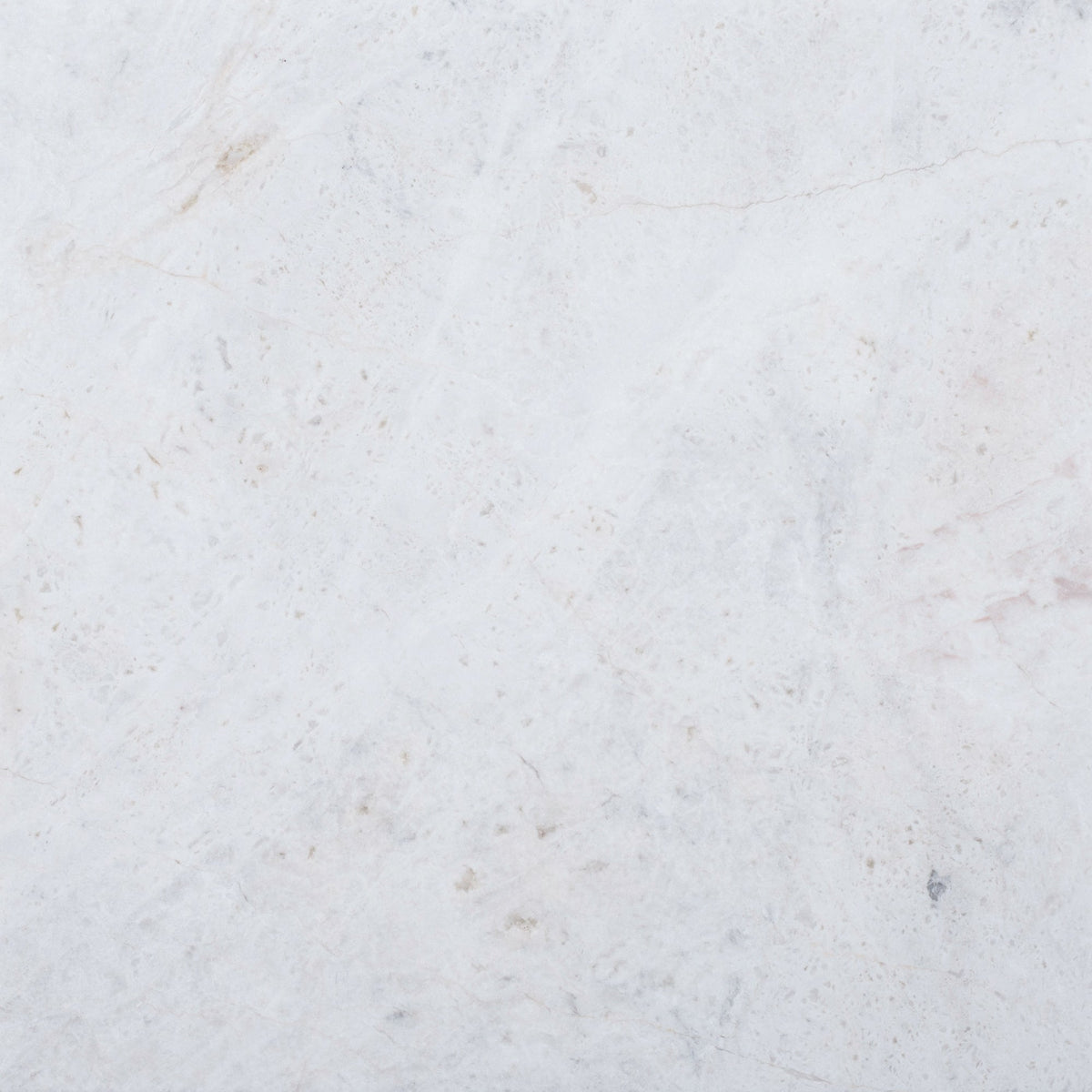 Elegantia Honed 30 x 30 x 1 cm Field Tile 
