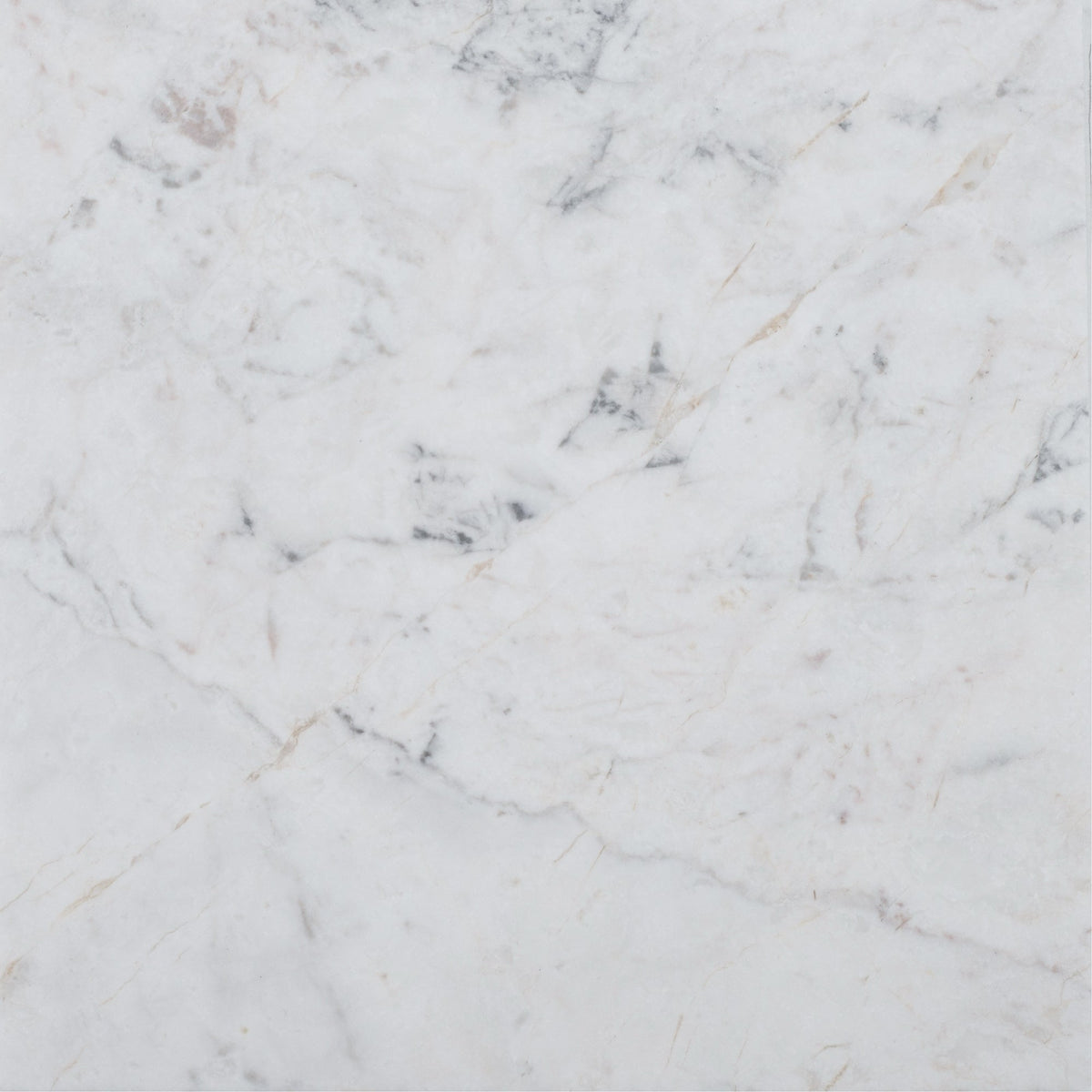 Elegantia Honed 30 x 30 x 1 cm Field Tile 