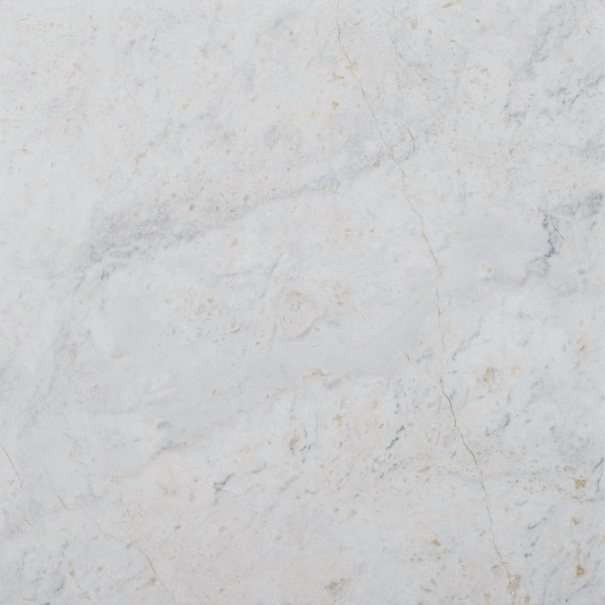 Elegantia Honed 30 x 30 x 1 cm Field Tile 