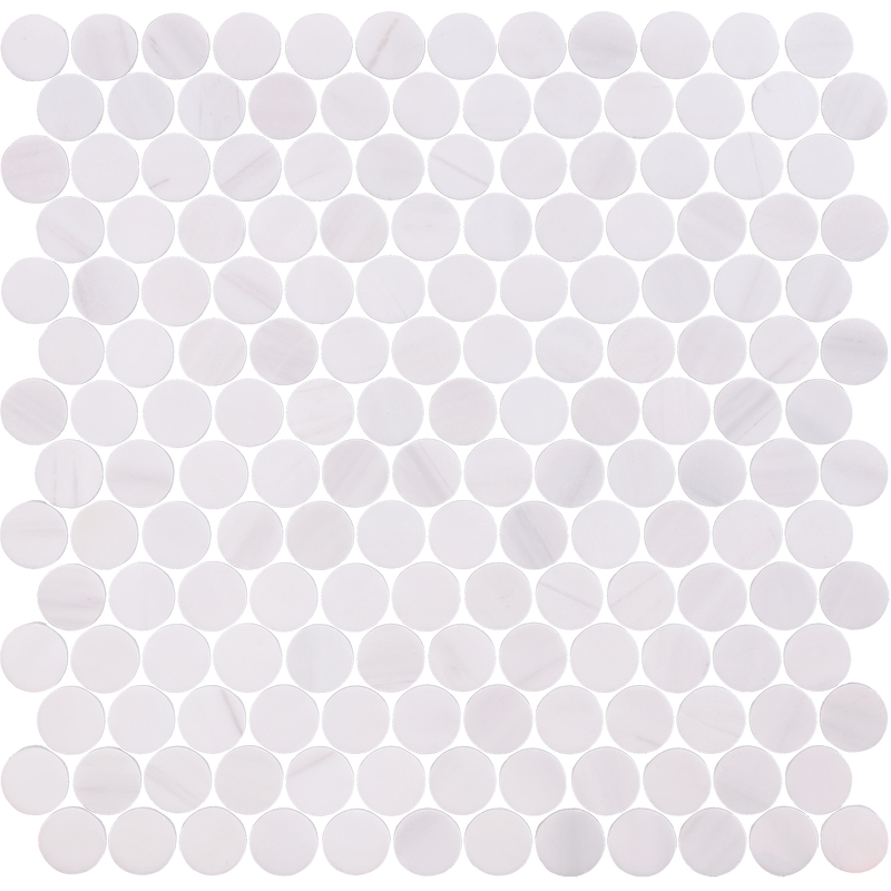 Glacier White Penny Round Honed Mosaic