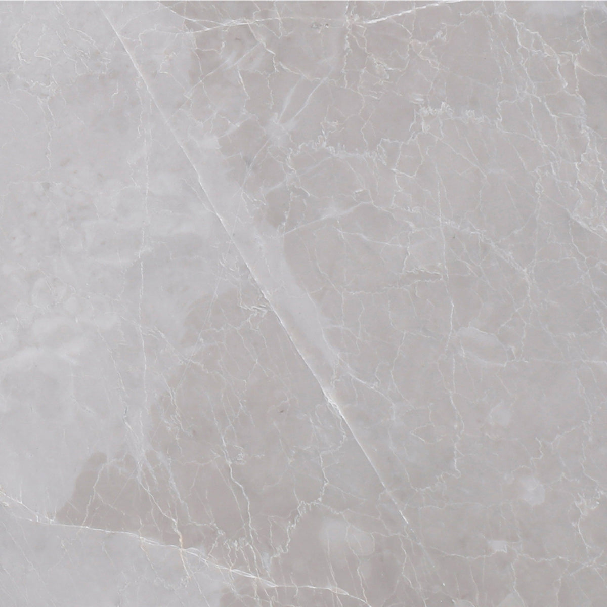 Earth Grey Polished 30 x 30 x 1 cm Field Tile 