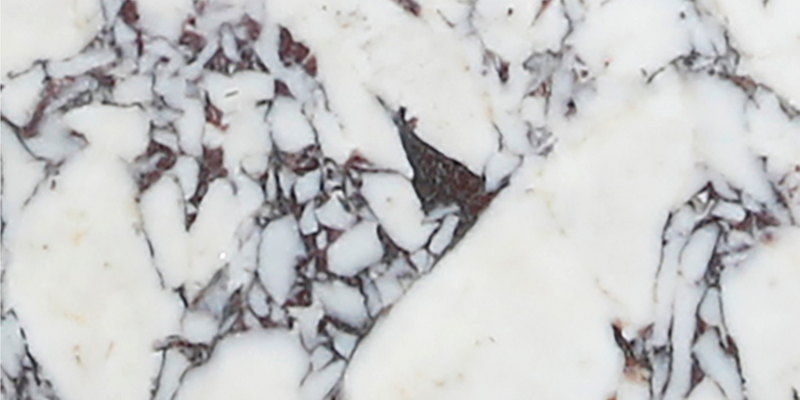 Calacatta Viola Honed 15 x 30 x 1 cm Field Tile