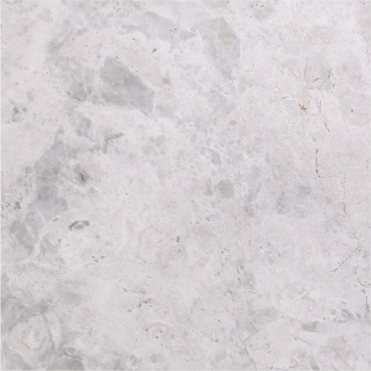 Tundra Grey Polished 30 x 30 x 1 cm Field Tile 