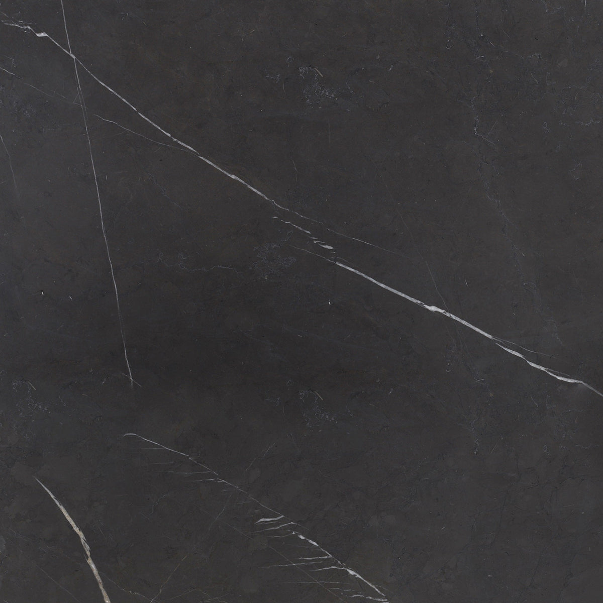 Mount Grey Plain Brushed 45 x 45 x 1.25 cm Field Tile 