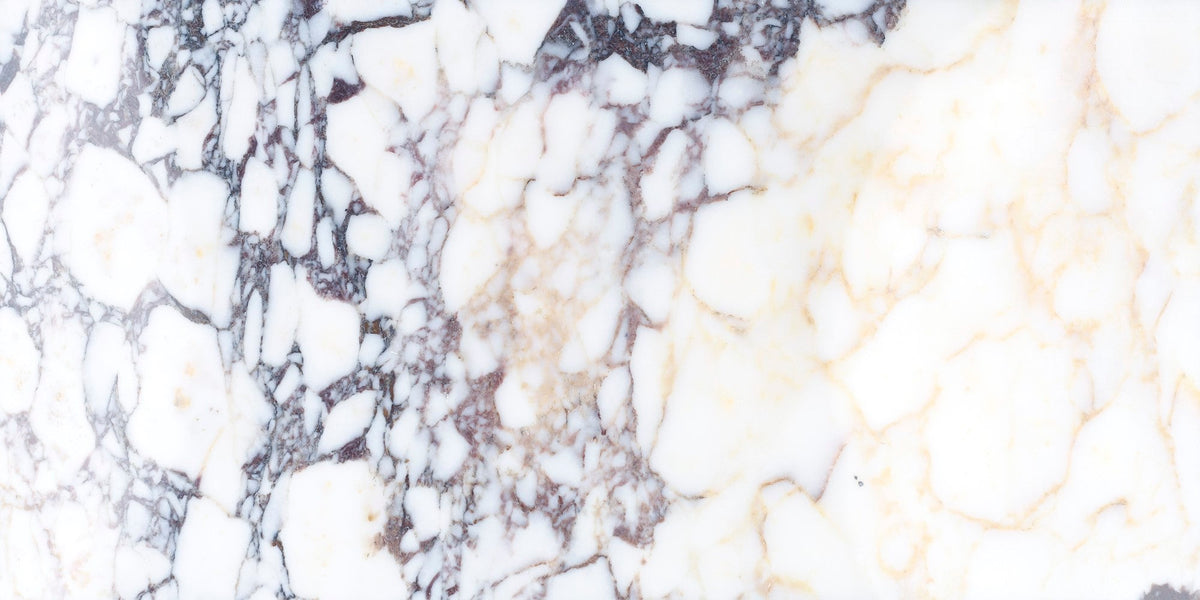 Calacatta Viola Polished 30 x 60 x 1 cm Field Tile 