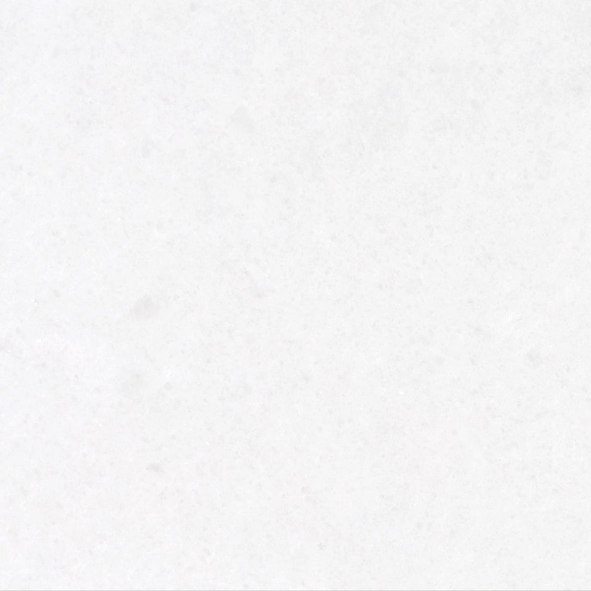 Snow White Polished 30 x 30 x 1 cm Field Tile 