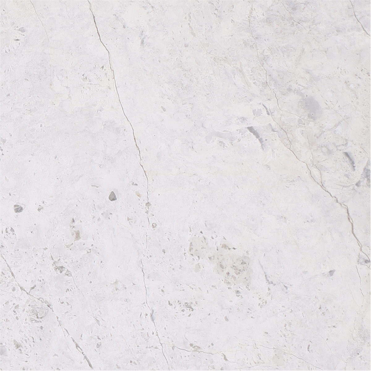 Tundra Grey Honed 15 x 15 x 1 cm Field Tile 