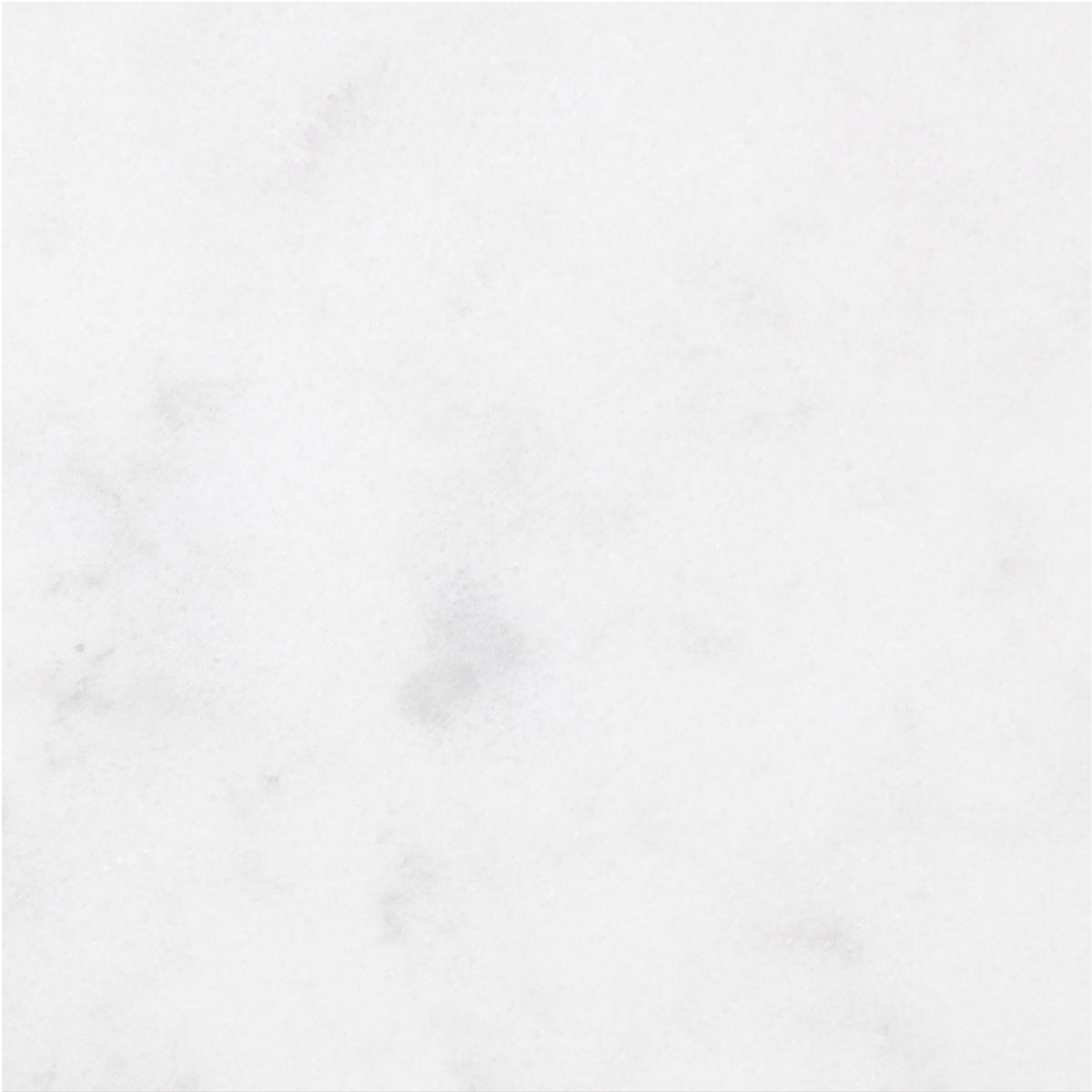 Alba Vera Honed 45 x 45 x 1 cm Field Tile 