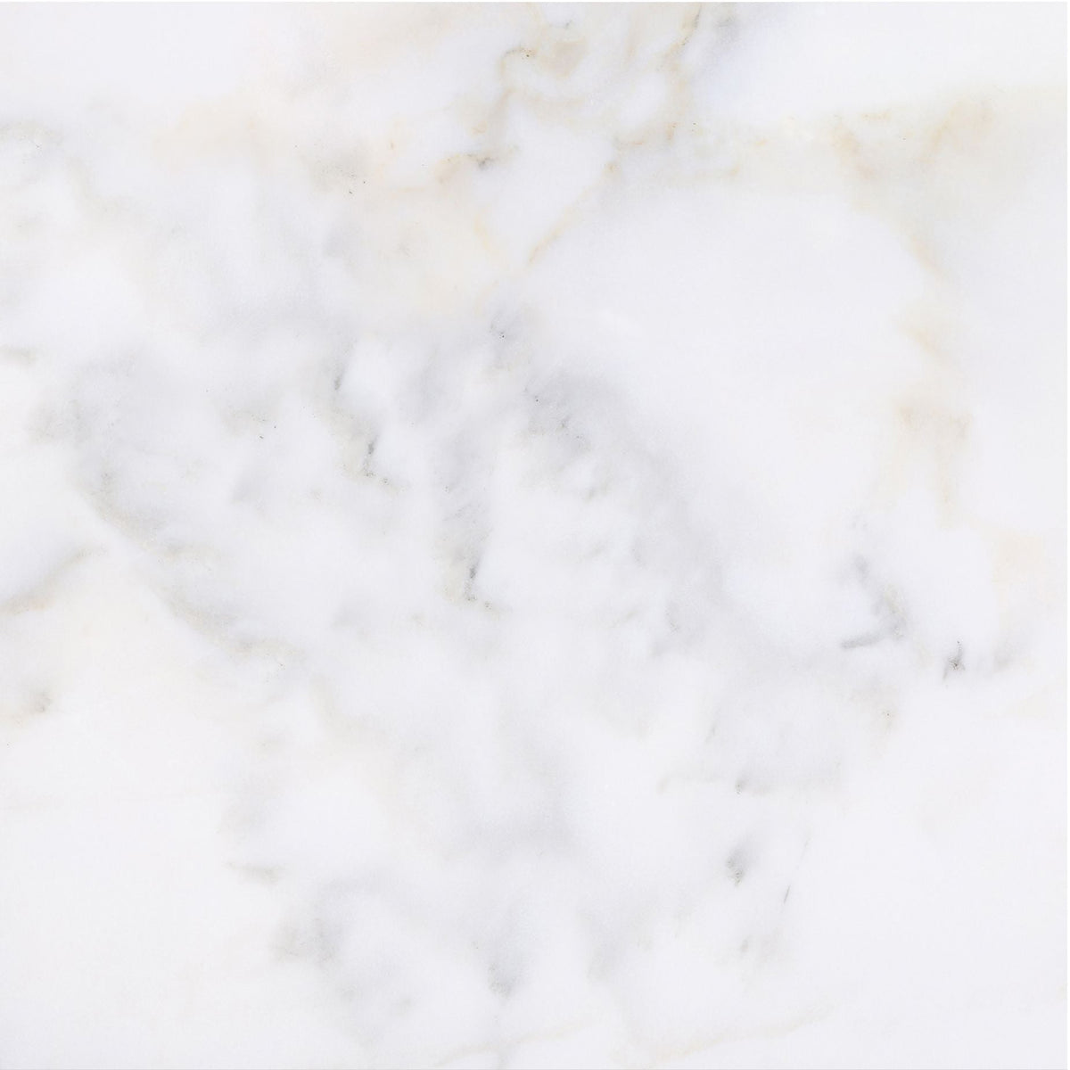 Calacatta Vida Honed 45 x 45 x 1.25 cm Field Tile 