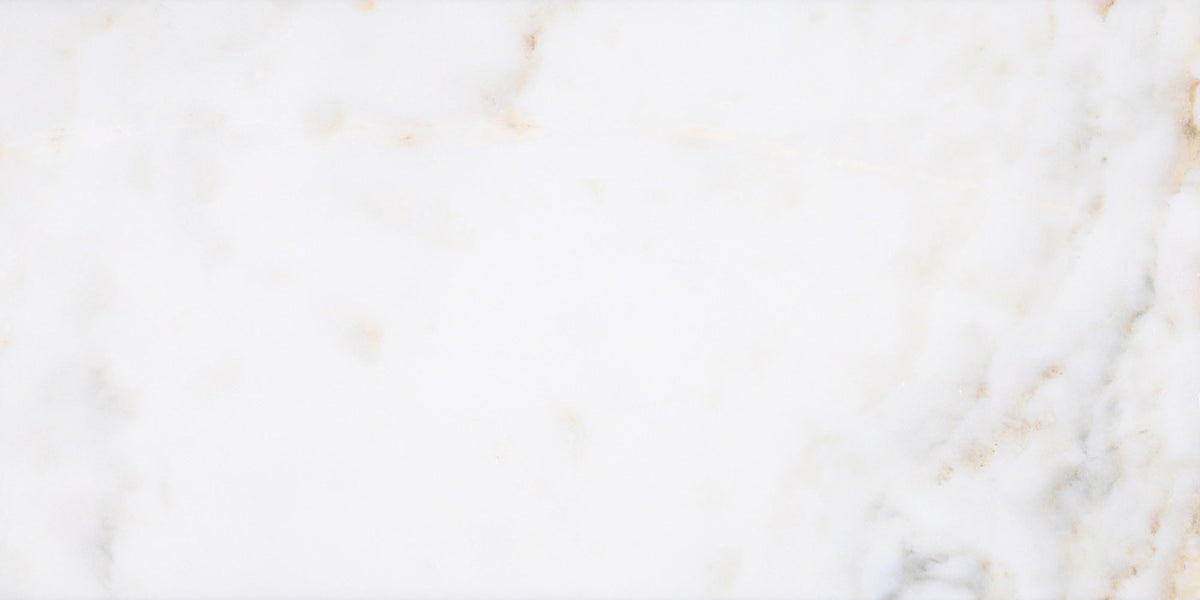 Calacatta Vida Honed 30 x 60 x 1 cm Field Tile 